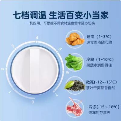 海尔Hi冰LIQ柜家用冷霜冻小型冷柜一级节能迷你无小冰箱a冷藏商用