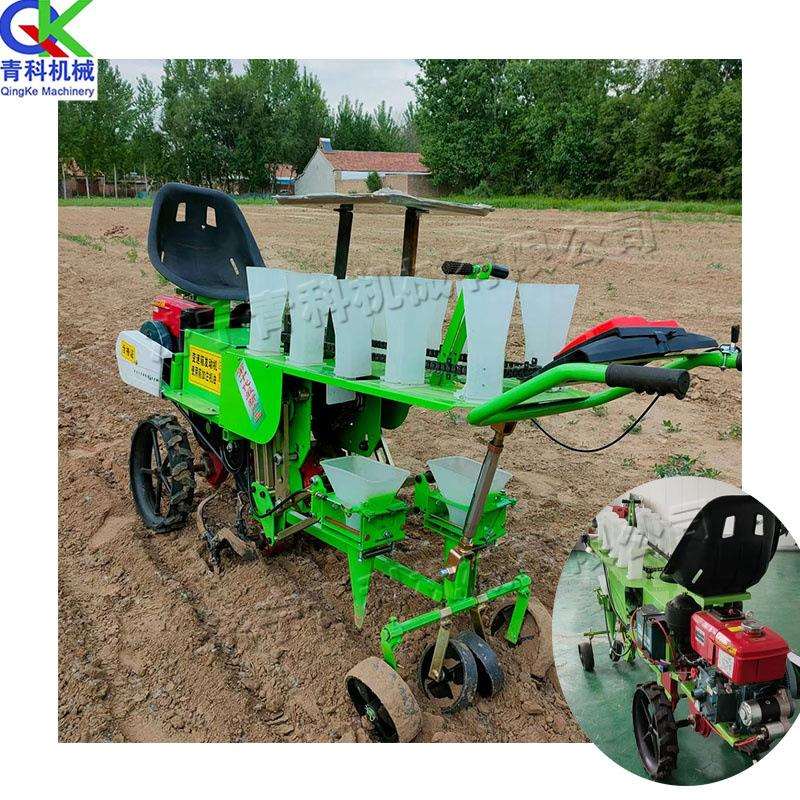 农用无土钵苗DZE苗种栽植机座驾式农田栽苗机汽油动力行两蔬菜移