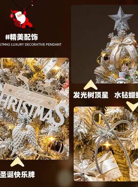 家圣树2025客厅用套诞餐加密圣诞饰圣诞树新款聖IMM誕樹白色装风