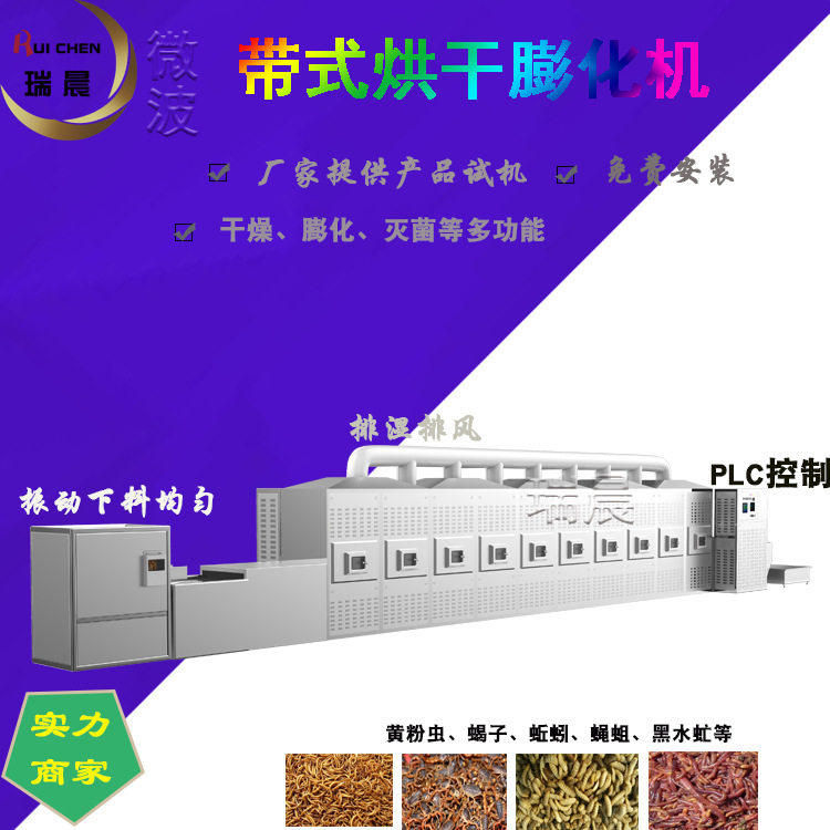 烤虾机产量微波干燥机黄花鱼微波烘干烘烤设备生产线
