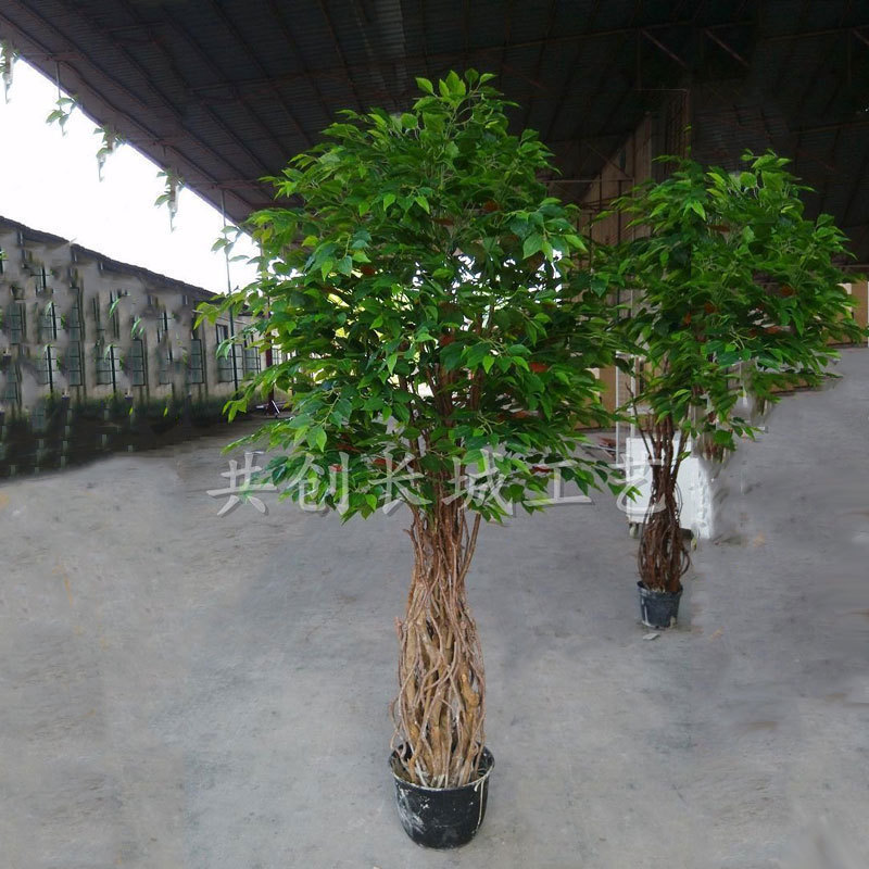 厂家制造 仿真盆景绿植樟树 过胶叶绿榕树 室内摆放假树盆景2米