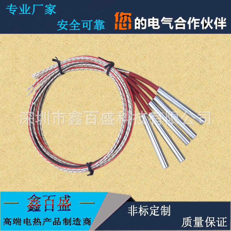 内出线干烧模具高温电热管