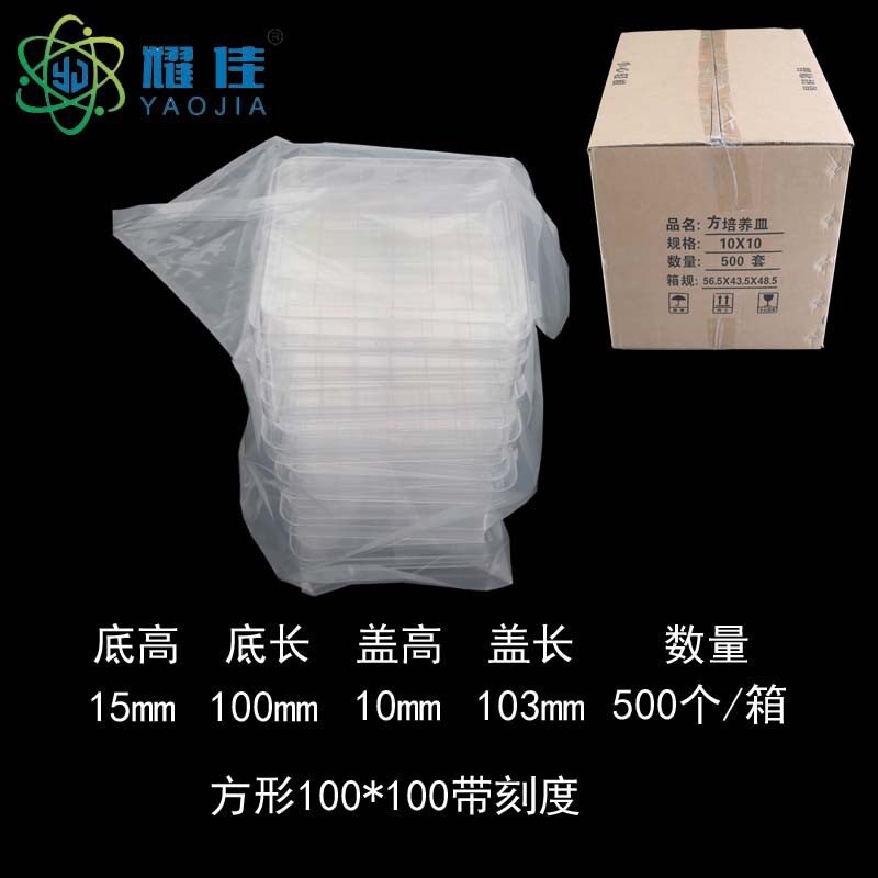 方形100*100mm带刻度 塑料培养皿 一次性培养皿 整箱价