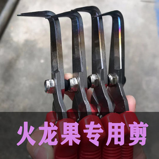 加厚长款火f龙果剪刀专用炎芽剪修芽修枝剪果剪子勾剪弯剪剪芽刺