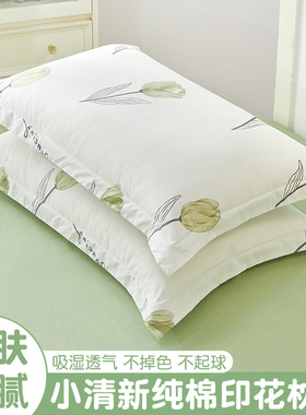 纯棉48cmx74cm枕套1u00全棉一对装家用新款枕头内胆套夏天男枕头