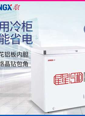 XINGX/星星BD/BC-303GA300升卧式冷冻冷藏冰柜商用卧式家用小冰箱