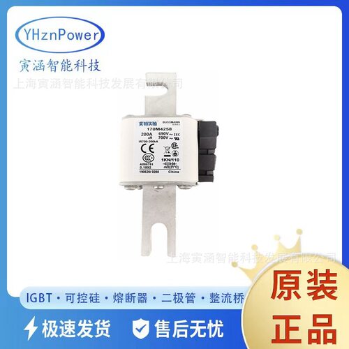 智能低压熔断器/保险丝现货 170M4258  200A 700V