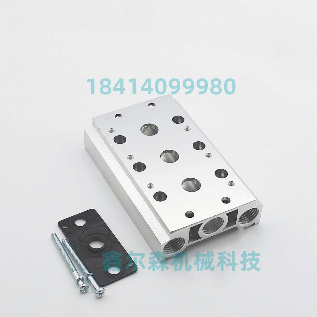 电磁阀\G551A001MS\1/4NPT G531C017MS\1/4NPT\AC220V\0-1MPa