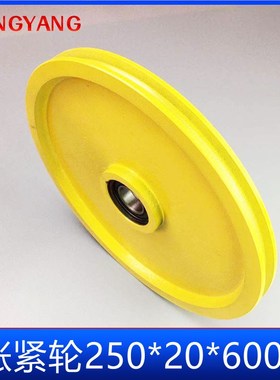 博林特 电梯涨紧轮 250X20X6005 底坑限速器张绳轮