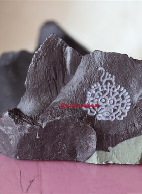 宁夏贺兰石小摆件天然原石手玩件时尚装饰品书房书桌小摆件太阳神