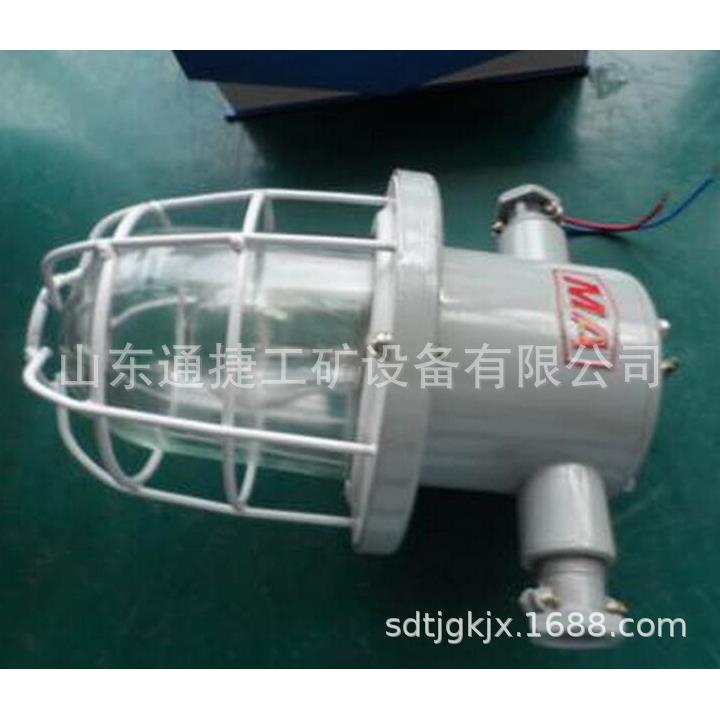 DGS60防爆白炽灯 DGS60防爆白炽灯 DGS-60原KBB系列隔爆型白炽灯