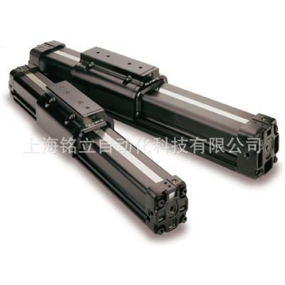 BC2M10 SK15.000 FM2 BC2M#426639 TOLOMATIC无杆气缸07280000气