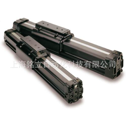 BC2M10 SK15.000 FM2 BC2M#426639 TOLOMATIC无杆气缸07280000气