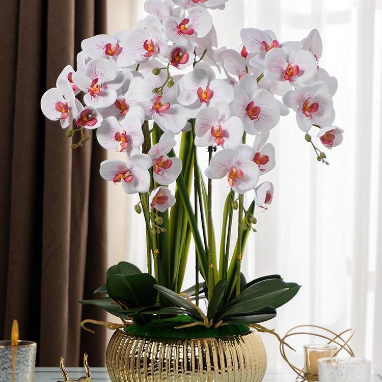 大盆高档轻奢仿真蝴蝶兰塑料假花艺插花室内客厅桌面装饰摆件摆设