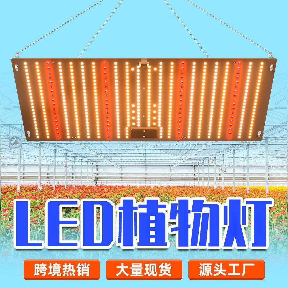 厂家直销LED植物生长灯全光谱补光植物灯户外增生蔬菜水果种植灯,玩具/童车/益智/积木/模型,毛绒/玩偶/公仔/布艺类玩具,淘宝优惠券,粉丝福利购,淘宝优惠卷