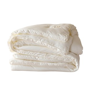 A类大豆被家用学生被子宿舍单人春秋被芯夏被双人15R0x200四季 通