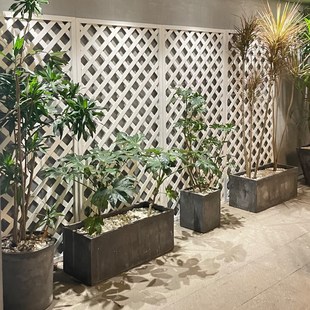 塑木栅栏围栏网格爬藤花架阳台庭院户外花园防腐R木白色篱笆墙隔