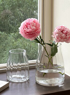 透明高级感玻璃花瓶摆件客厅插花复古餐桌矮水培玫瑰大肚宽口