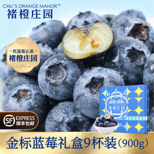 褚橙庄园金标蓝莓礼盒装900g 鲜果大果花香蓝莓现摘现发高端礼盒
