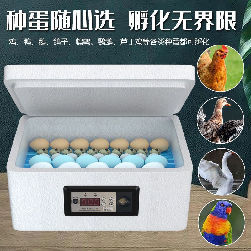 热销孵化器小型水床芦丁鸡孵蛋器家用全自动孵化机智能小鸡鸭鹅孵
