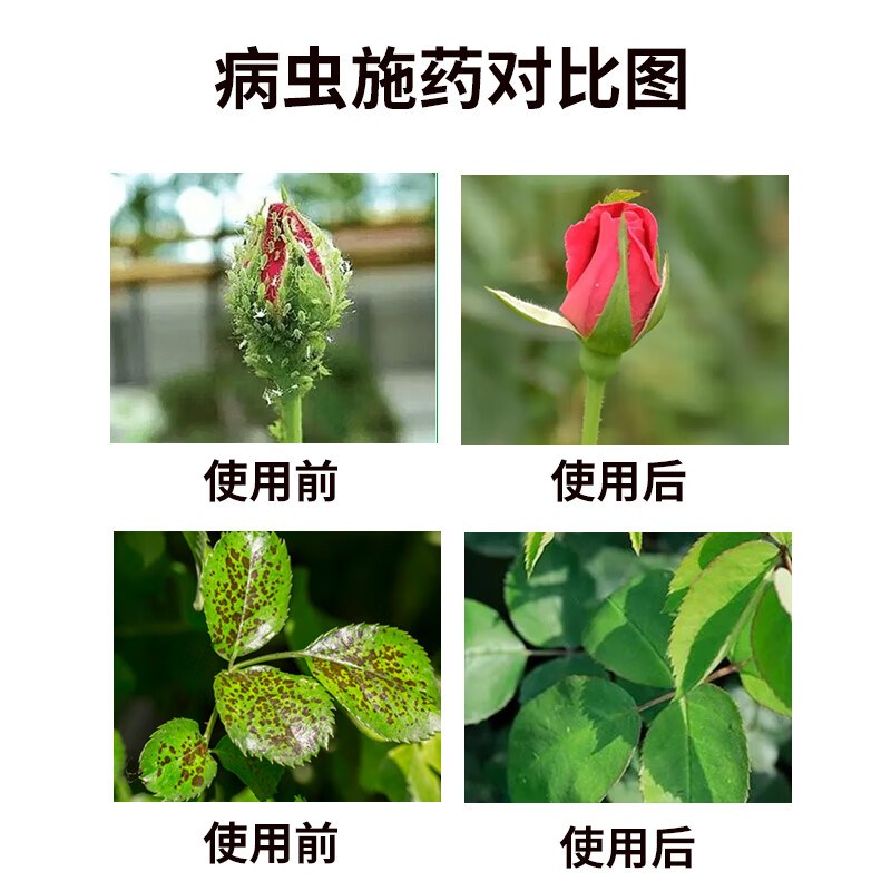 热销百虫清瓜果蔬菜杀虫剂农用花卉绿植室内盆栽小菜园蚜虫蚧壳虫