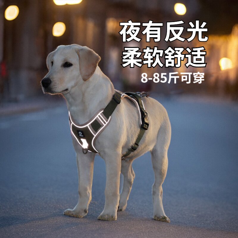 狗狗的牵引绳反光夏季新款工字型胸背狗外出遛狗牵引绳大中型犬