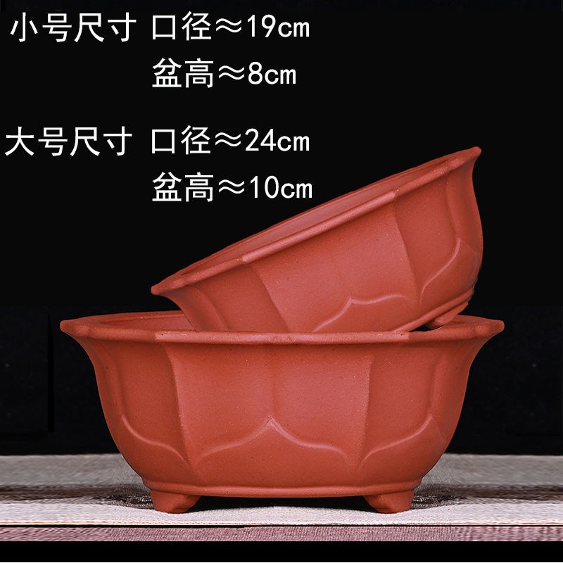 宜兴紫砂莲花盆圆形桌面多肉菖蒲室内假山透气盆景盆陶瓷包邮八角