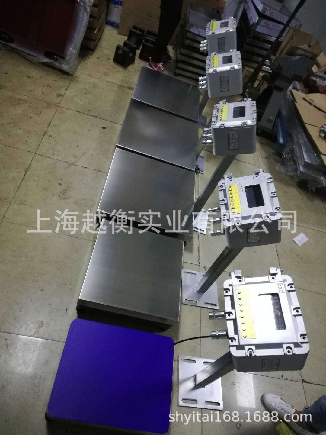 TCS-YHEX防爆电子平台秤60公斤