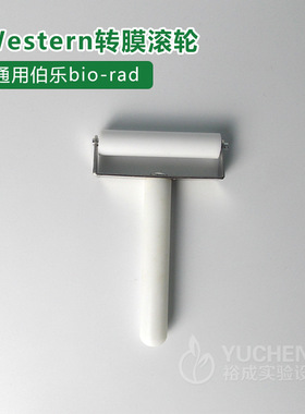 Western Blot转膜滚筒, Western转膜气泡滚WB滚子,Western Roller