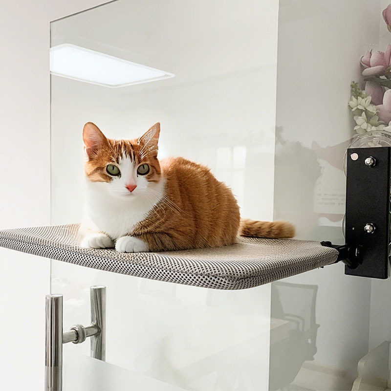 金属猫吊床猫咪猫窝窗户窗台床边晒太阳吸盘挂床阳台宠物猫床用品