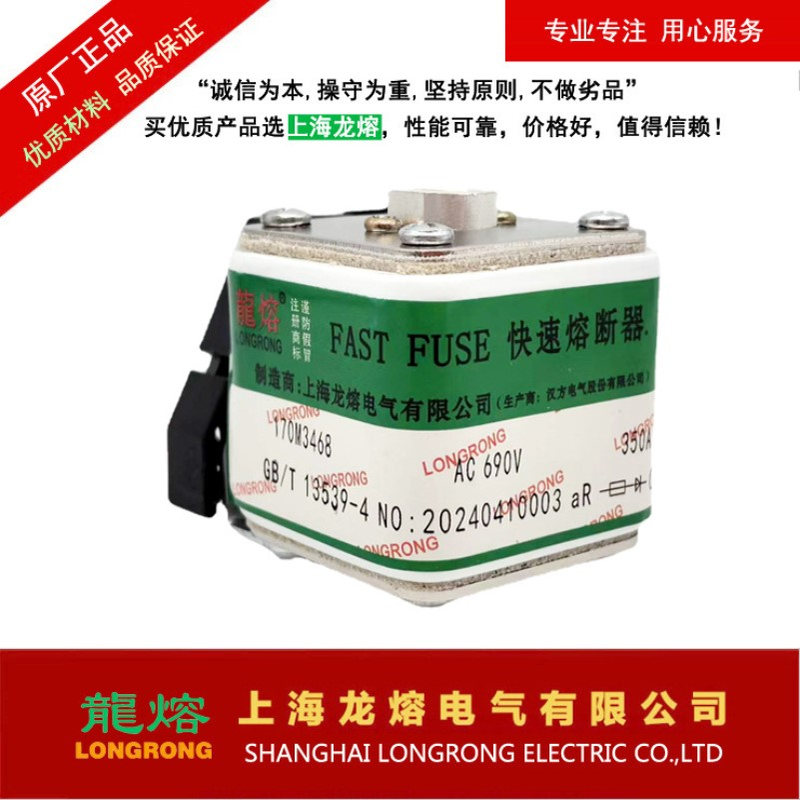 170M3466 AC690V 250A 快速熔断器，