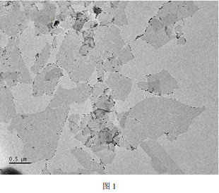 0.5-3μm  碳化钛（Ti3C2Tx）MXene 薄层分散液   20ml