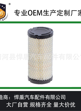 空气滤清器RS3715 820263 11013-1290 11013-7029 25-083-02S滤芯