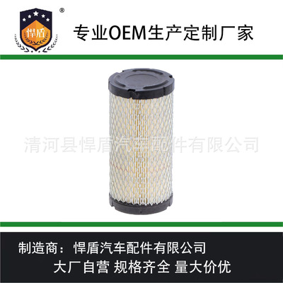 空气滤清器RS3715 820263 11013-1290 11013-7029 25-083-02S滤芯