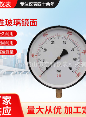 中性玻璃镜面200mm大直径 0-70公斤 可测量气体 液体 蒸汽