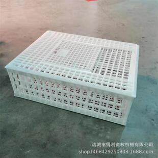 得利畜牧75*55*27鸡笼子 成鸡周转筐 塑料鸭笼 淘汰鸡笼 加厚筋