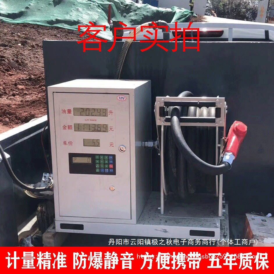车载加油机大流量柴油小型全自动新款汽油防爆一体设备12V24V220V