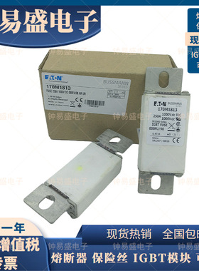 BUSSMANN熔断器000FU/90 170M1813/1809/1810/1811-250A 1000V