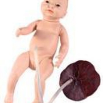 高级新生儿脐带护理模型,妇幼技能训练模型