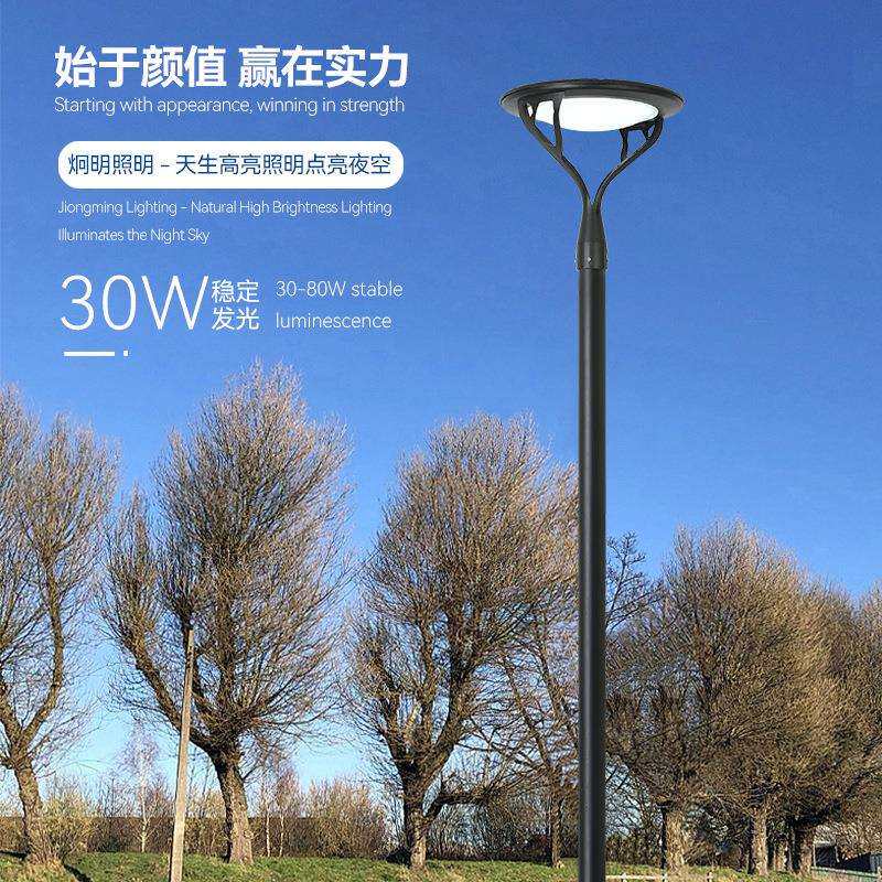 路灯户外庭院灯3米现代景观灯小区花园简约太阳能欧式风格