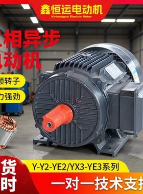 三相异步电机YE2-132S1-2 5.5kw立式卧式三项电动机现货厂家