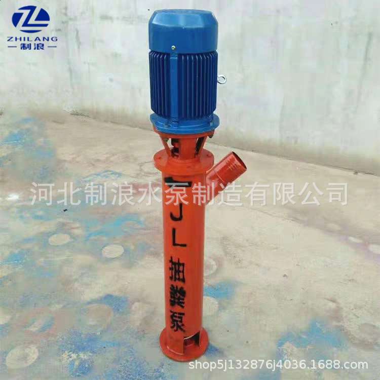 绞龙抽粪泵 化粪池排污泵立式铰刀泵禽类粪便处理抽粪泵