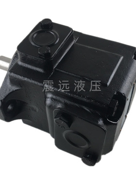 丹尼逊油泵T6C 025 1R00 B1M0叶片泵T6C008/012/0281R01B1