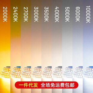 2000K2700K3000K3500K4000K5000K6000K灯带暖光中性光led低压灯条