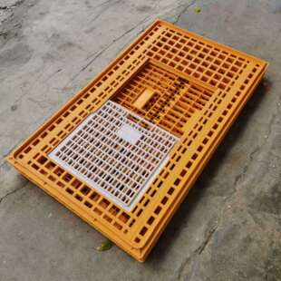 鸡笼周转箱塑料鸡笼运输笼子成鸡鸭周转筐家禽鸽兔用养殖笼