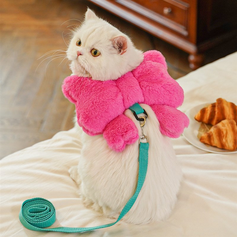 猫咪牵引绳狗狗胸背带蝴蝶结小型犬猫胸背带金渐层防挣脱外出绳子