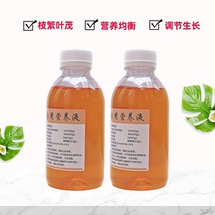 文竹云竹矮生专用营养液盆景栽绿植物云松通用浓缩水培水溶花肥料