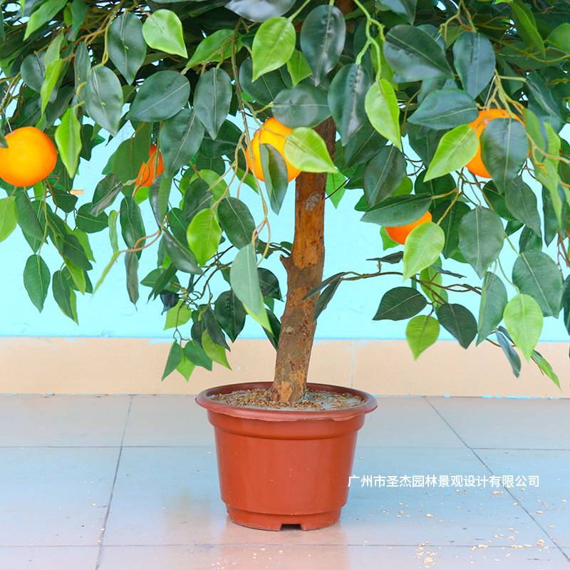 仿真橘子树假植物室内装饰客厅摆件仿真植物 办公室果树绿植盆栽