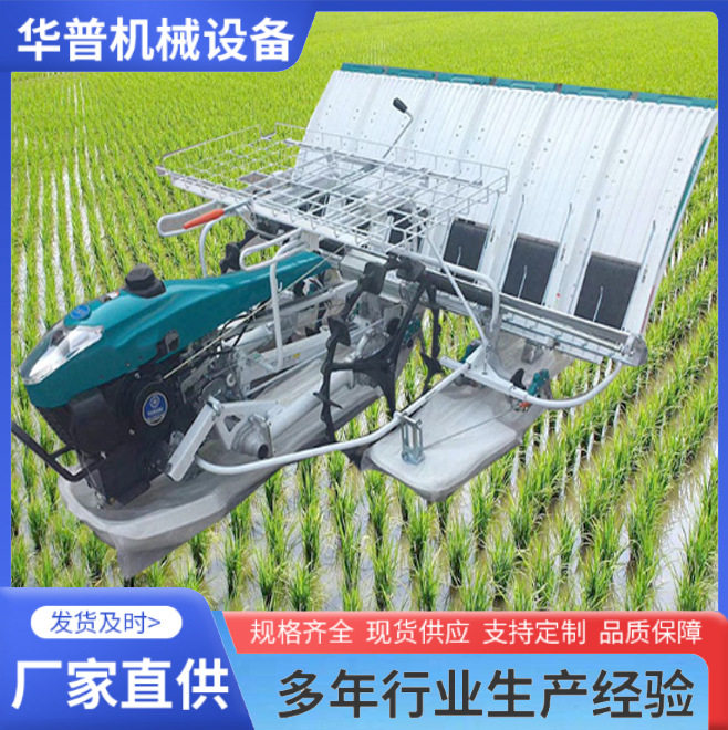 水稻种植机 全自动栽苗机 手推前置种水稻机 水田插秧机