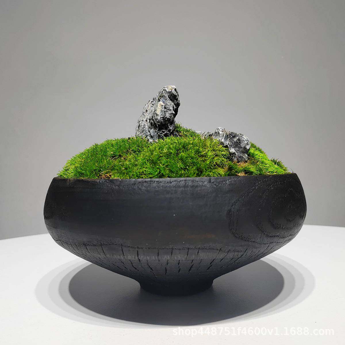 永生苔木器藓盆景碳化花仿813真新植物中式桌面花艺客厅玄关前台,鲜花速递/花卉仿真/绿植园艺,仿真绿植,淘宝优惠券,粉丝福利购,淘宝优惠卷
